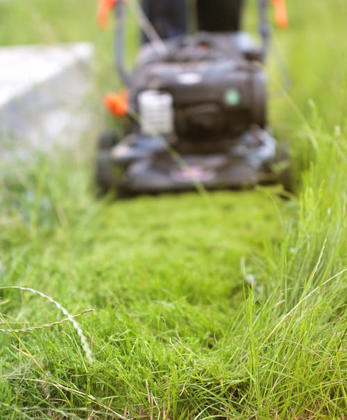 Tonte-de-pelouse-Montréal-